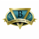bramptonlimousineservice